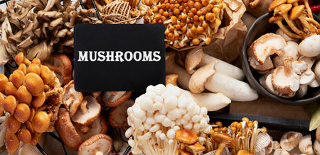 Tasty raw mushrooms collection. Healthy food concept. Top viewの写真素材