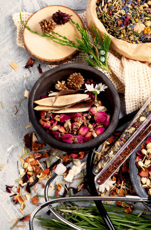 Alternative medicine variation pills and herbs. Homeopathy medicine concept. Top view with copy spaceの写真素材