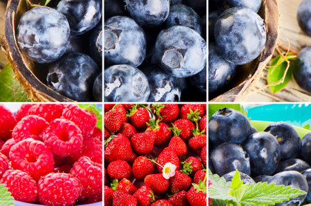 Collage of fresh raw berries. Healthy food concept.の写真素材