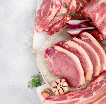 Assortment of raw pork meat on light gray background. Organic gourmet food concept. Top view, flat lay, copy spaceの写真素材
