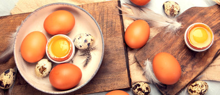 Chicken eggs composition. Farm products and natural nutrition. Top viewの写真素材