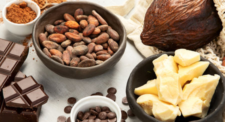 Cacao beans and powder, cacao butter and chopped chocolateの写真素材