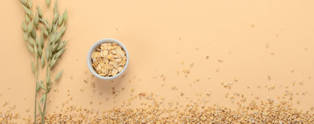 Oats on colorful background. Healthy breakfast. Dieting and weight loss concept. Top view. Panorama...
