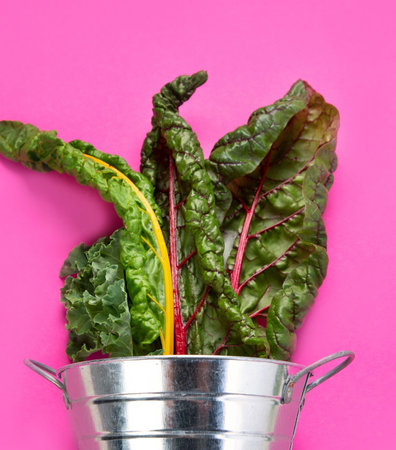 Fresh green curly kale leaves on pink background. Healthy food ingredients. Top view.の写真素材
