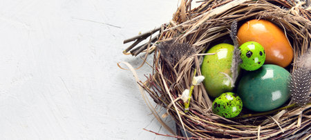 Colorful Easter eggs in nest. Happy Easter. Top view. Panorama with copy space.の写真素材