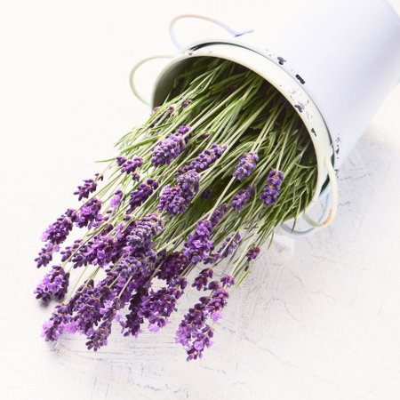 Lavender flowers, bouquet in bucket on a white background. Top view.の写真素材