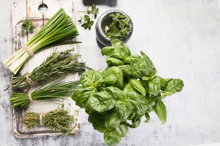 Fresh garden herbs on a gray background. Top view.の写真素材