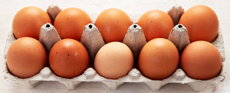 Open egg boxes with different eggs on a light background Fresh organic chicken eggs in carton pack or egg container. Top view.の写真素材