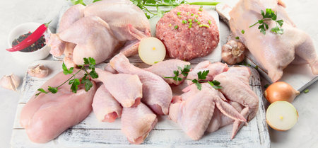 Different types of fresh chicken meat. Panorama, bannerの写真素材
