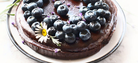 Chocolate cake with blueberries. Sweet pastry dessert. Panorama, bannerの写真素材