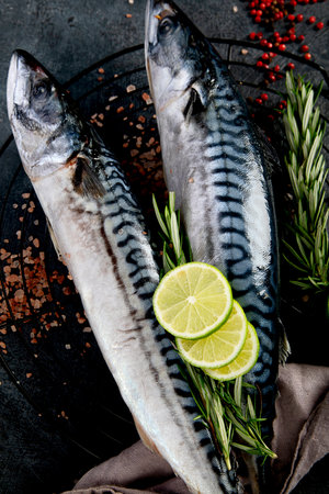 Fresh mackerel and herbs. Fresh fish and seafood arrangement. Top view.の写真素材