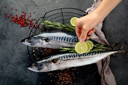 Fresh mackerel and herbs. Fresh fish and seafood arrangement. Top view.の写真素材