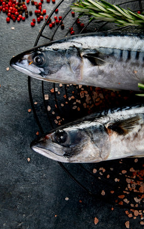 Fresh mackerel and herbs. Fresh fish and seafood arrangement. Top view.の写真素材