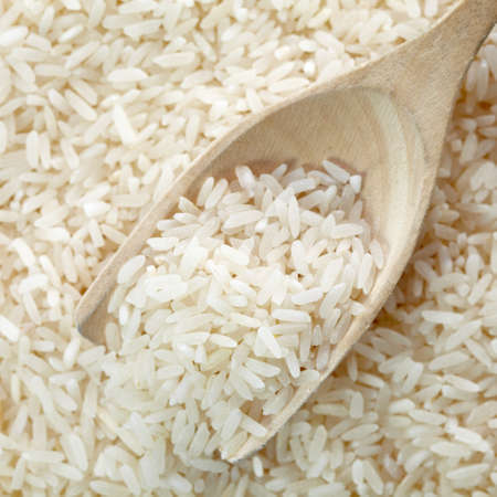 Spoon of riceの写真素材