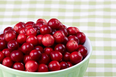 Bowl of cranberriesの写真素材