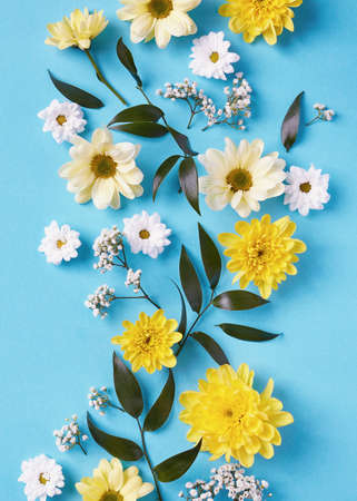 Beautiful yellow and white flowers composition on blueの写真素材
