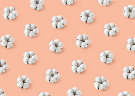 Colorful pattern of white cotton flowers on orange pastelの写真素材