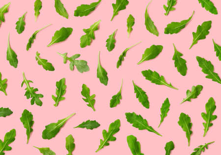 Colorful pattern of fresh rucola or arugula leaves on pink background. Top viewの写真素材