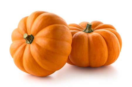 Two fresh orange pumpkins isolated on white backgroundの写真素材