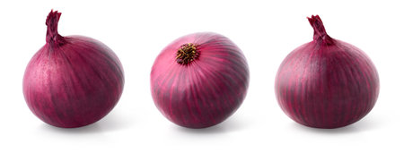 Set of various whole red onions arranged in different angles isolated on white backgroundの写真素材