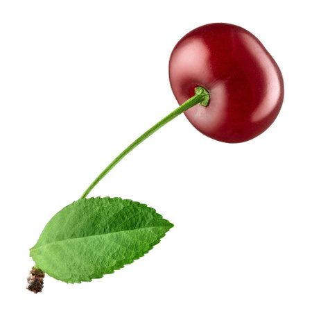 Fresh ripe red cherry with green leaves isolated on white backgroundの写真素材