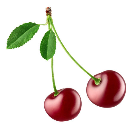 Two fresh ripe red cherries isolated on white backgroundの写真素材