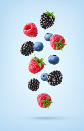 Collection of various falling fresh ripe wild berries on light blue background. Raspberry, blackberry and blueberry.の写真素材