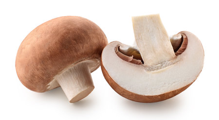 One whole and halved fresh brown champignon mushroom isolated on white backgroundの写真素材