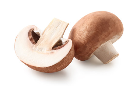 One whole and halved fresh brown champignon mushroom isolated on white backgroundの写真素材