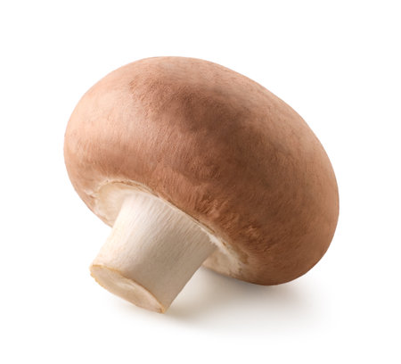 One whole fresh brown champignon mushroom isolated on white backgroundの写真素材