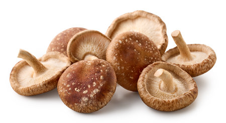Heap of fresh Shiitake mushrooms isolated on white backgroundの写真素材