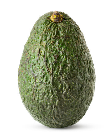 One whole fresh avocado isolated on white backgroundの写真素材