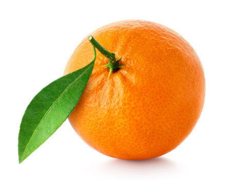 One fresh ripe tangerine, mandarin or clementine with green leaf isolated on white backgroundの写真素材