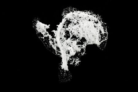 Dried soap foam, dry shaving foam in the shape of a tree, isolated on black background. Close up.の写真素材