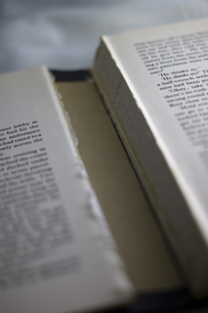 ripped pages of a book の写真素材