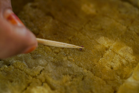 Hydroponic vegetable seeds in rock wool. Hydroponic. Rock wool. Seed. Close up. macro.の写真素材