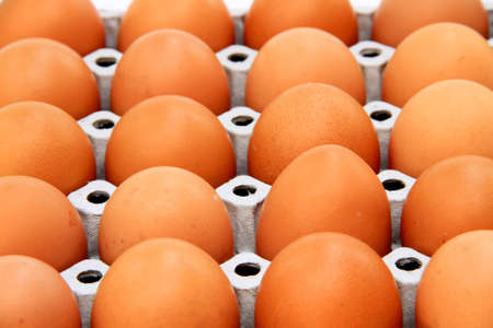 rows of eggs in a protective container の写真素材