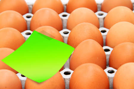 rows of eggs in a protective container with empty note paperの写真素材