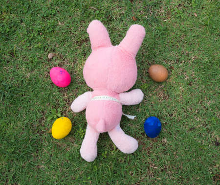 Rabbit toy and eggs on green grass background,の写真素材