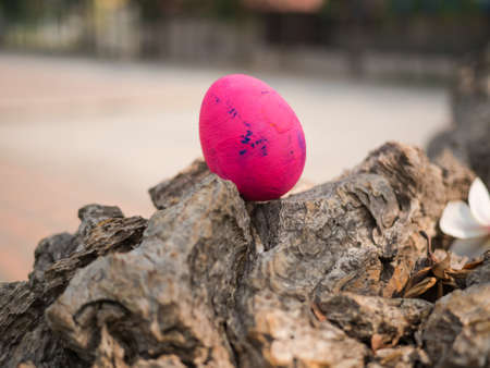 pink egg on old wood, green background,の写真素材