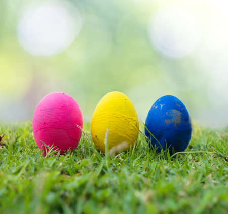 Easter greetings with grass and eggs with copy spaceの写真素材