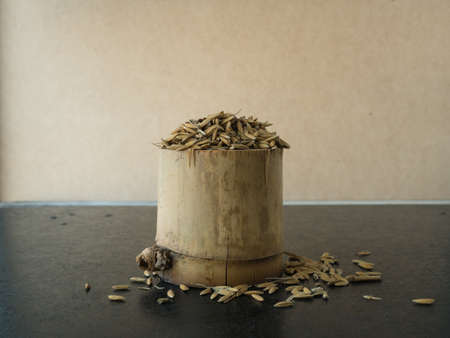 paddy in bamboo on black background,の写真素材