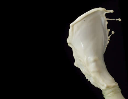 milk splash on black background, white liquid milk isolated on black backgroundの写真素材