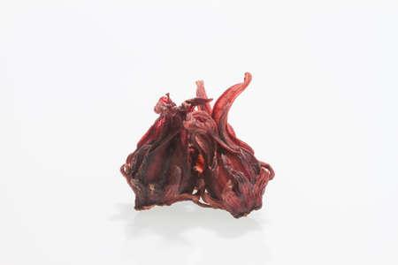 roselle on white backgroundの写真素材