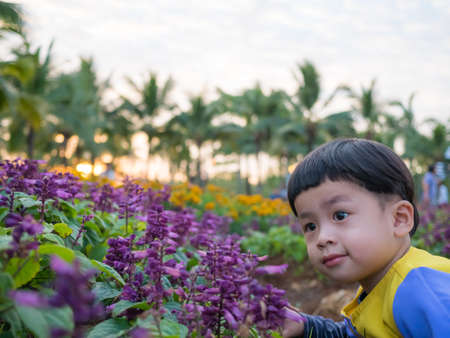 Little kid catch flower on blur flower background,の写真素材