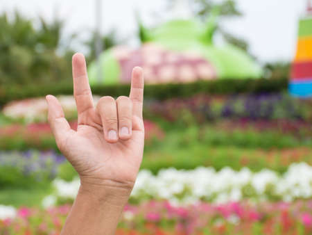 Love hand sign on blurred flower background,