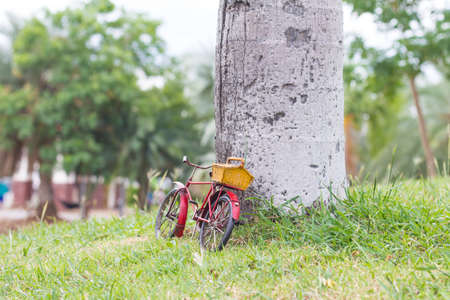 Bicycle in grass with side tree palm,の写真素材