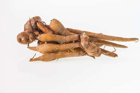 finger root Ingredients for Thai Cuisine on white background.の写真素材