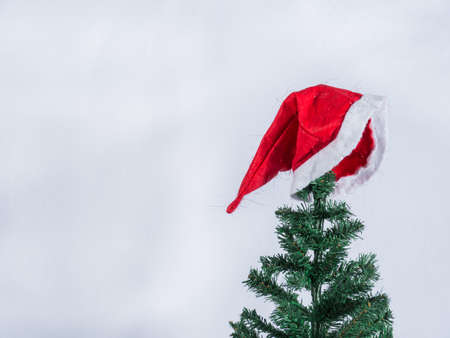 Red Hat on Christmas tree and white background,の写真素材