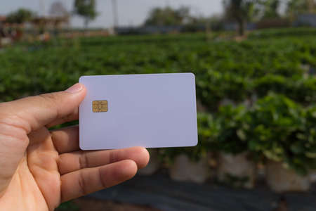 White card in hand on blurred strawberry farm background,